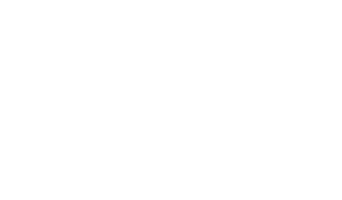 Levos Group